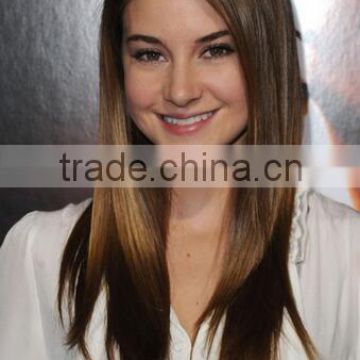 Ombre Synthetic Hair Extension Long Straight Hair