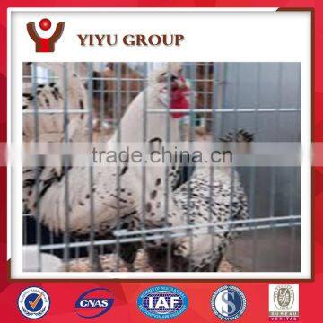 steel chicken shed have egg laying chicken poultry cage