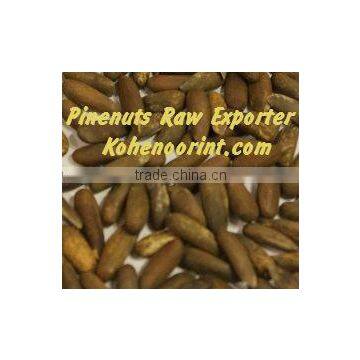 Pine Nuts Raw