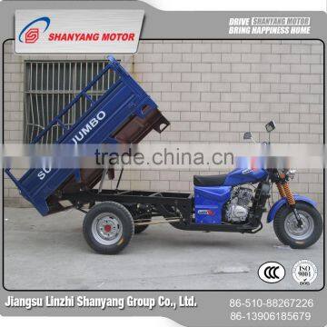 Newest Design 3 wheel cargo tricycle