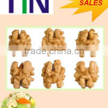 TTN wholesale buy shelled walnuts for sell