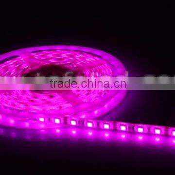 Factory price high quality DC12V 5050SMD 60led/m RGB LED flexible light strip