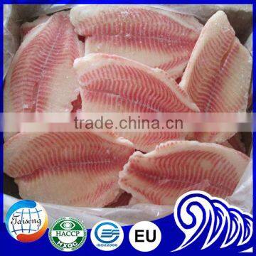 Bulk Frozen Fish Fillet Tilapia Food