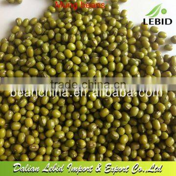 2016 Crop Green Mung Bean for Sprouting