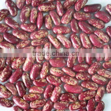 2010 New crop Red Speckled Kidney Beans