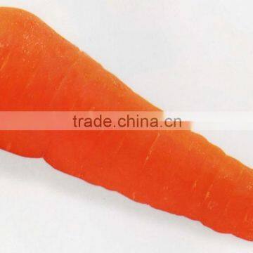 2015 fresh organic carrot for sale