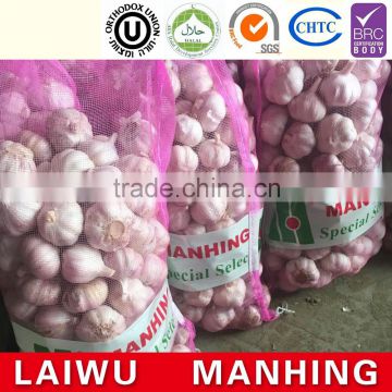 Hot selling normal white fresh garlic price