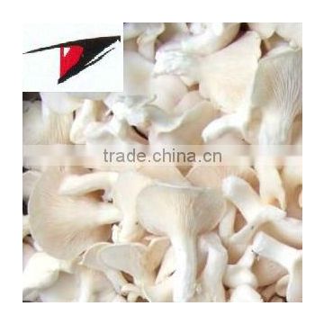 White oyster mushroom in brine