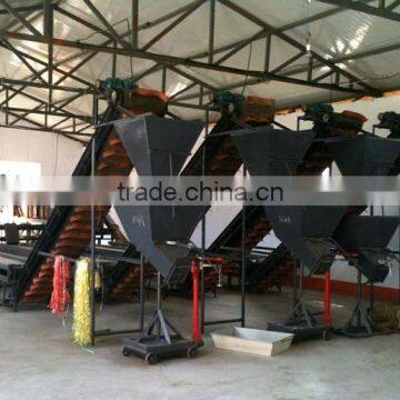 Brazilnuts Dried Chestnuts for Shale photo-5