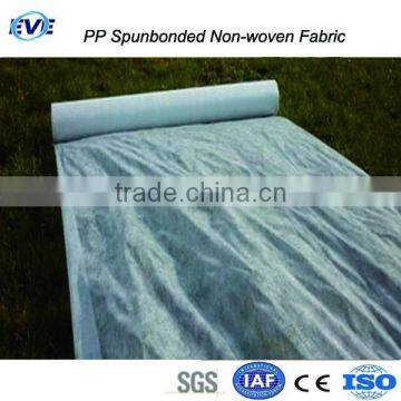 Non Woven Carpet Supplier