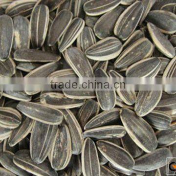 2016 Chinese sunflower seeds price