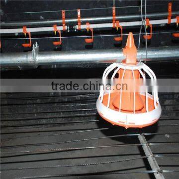 chicken broiler animal feeder