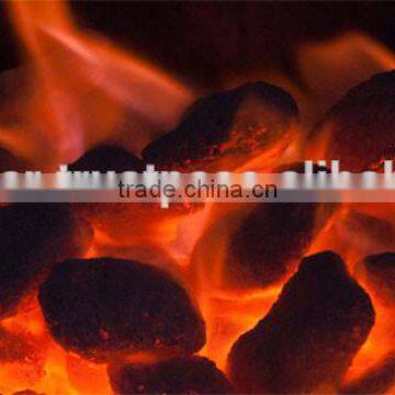 TOP QUALITY COCO CHAR BRIQUETTES photo-3
