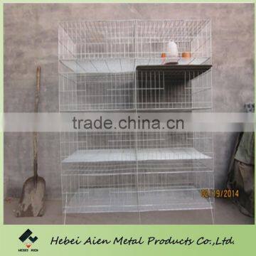 wire mesh chick cage for little chick