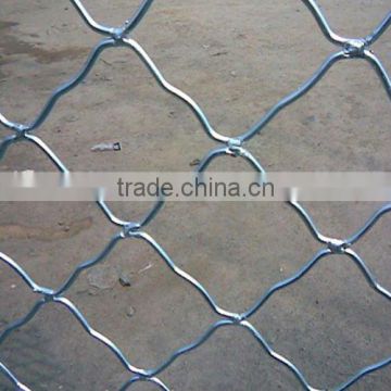 Beautiful grid wire mesh (Galvanized,PVC/PE coated.high quality,factory)