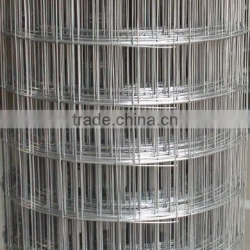 Welded Wire Mesh 50x50