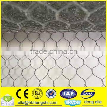Galvanized Hexagonal wire netting/Hexagonal wire manufacturer