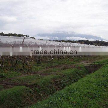 HDPE Agriculture Vineyard Plastic Apple Tree Anti Hail Net for Plantations