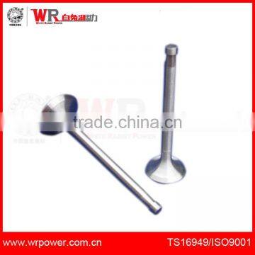 Z170F inlet valve and exhaust valve