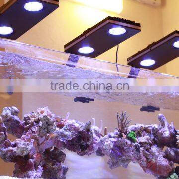 Hot Selling Programmable Full Spectrum Sunrise and Sunset Coral Reef Used Led Aquarium Light photo-6