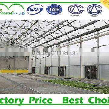 China Polycarbonate Tunnel Greenhouse for Sale photo-3