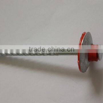 2017 Steel / Iron Nail Factory Offer 2017 photo-2