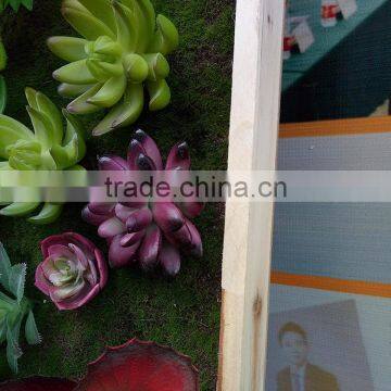 Indoor Decoration Artificial Mini Succulent Plants Wall photo-5