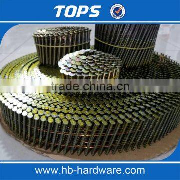 Tops wire coil nails manufacture in china