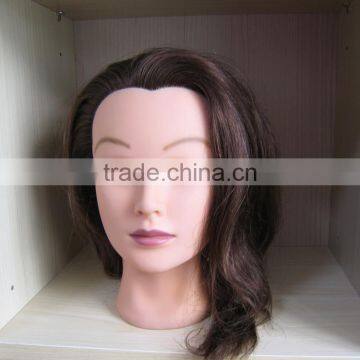 Beauty School Human Hair Trainning Head Salon Teaching Head Hair Styling Head photo-4