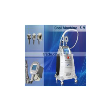 Newest technology:cryolipolisis body slimming machine/weight loss equipment