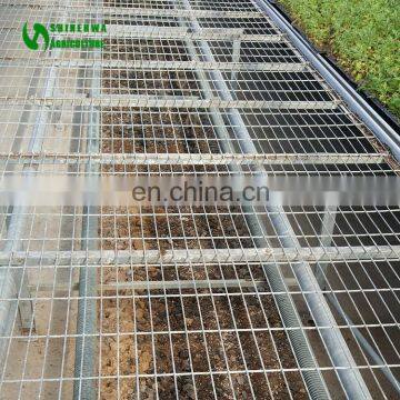 Coconut Plant Nursery Greenhouse Rolling Seedbed Benches