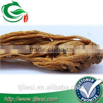 supply chinese angelica not extract