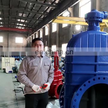 DN40-DN800 Standard rubber seat ggg50 gate valve large