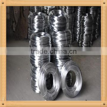 Welded iron mesh 50*50