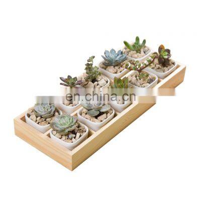 Factory Planter Vase Set Luxury 10 Pcs Small Pots Flower Pot Golden Wood Tray Felt Ceramic Home Used with Flower/green Plant 30