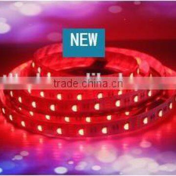 Factory price wholesale Energy saving super Brightness RGBW led strip with sensor