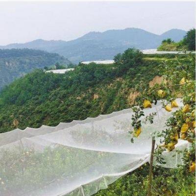 Anti Bird Net for Rice Field photo-3