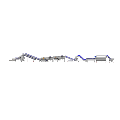 31m Rhizome Processing Line for Food & Pharmaceutical Applications