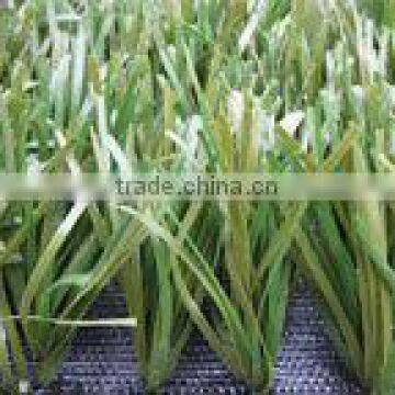 Artificial grass for soccer field(NQ-50)