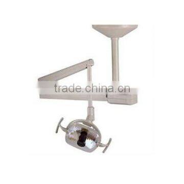 Customized densign ceiling mount light