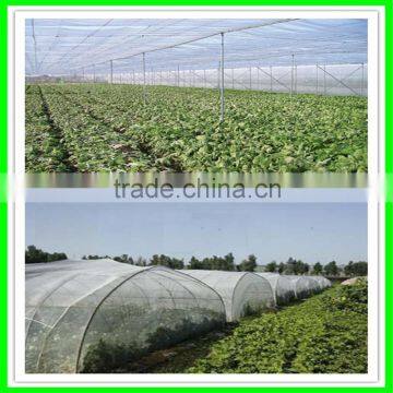 Large Size and Multi-Span Agricultural Greenhouses Type Green House Anti Insect Netting photo-6
