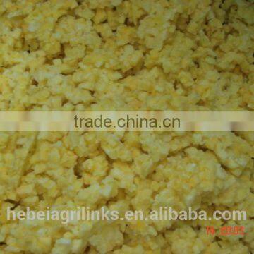 Chinese New Crop Frozen (IQF) Mango Dices photo-2
