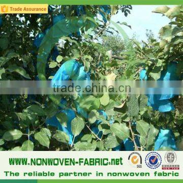 Agriculture Used Non Woven Fabric for Ground Cover photo-6