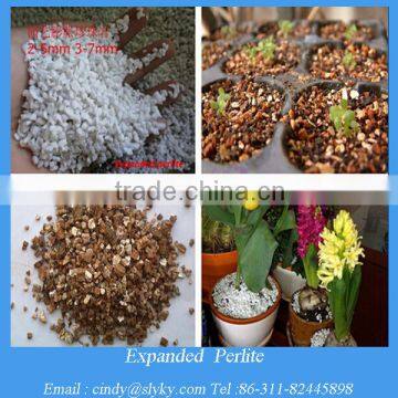 garden grade expanded vermiculite perlite in horticulture