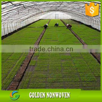 Ali Golden Trade Agriculture Nonwoven Waterproof Ground Cover photo-2