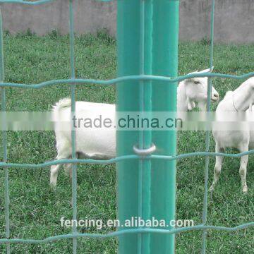 Galvanized wire /PVC Coated parrot macaw dog cage