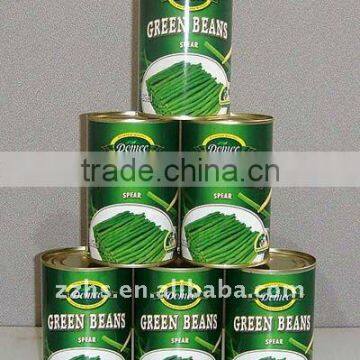 Canned Green Beans Spear with Competitive Price