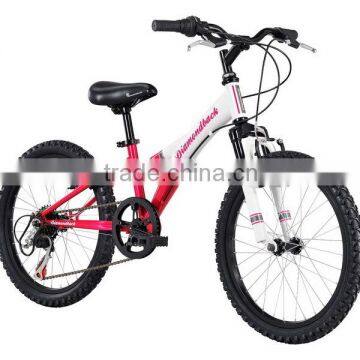 2015 Mtb Bike/ Mountain Bicycle/mountain Bike (PW4-M20102) photo-2