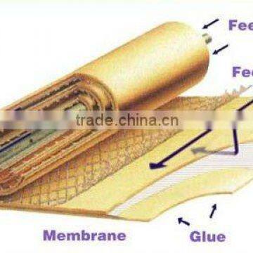 Hydranautics/Filmtec RO Membrane