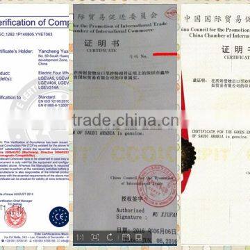 Off Road 2 Seats Sightseeing Car 4wd Electric Vehicle on Sale photo-5